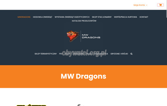 MW Dragons